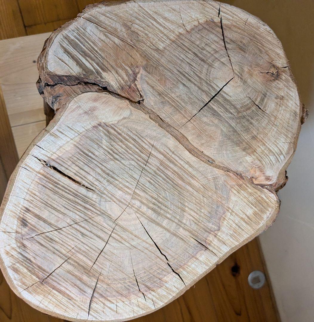 【極厚・桜】15.4kg 希少 枝分かれ 飾り台 二つの年輪 天然木 桜の丸太