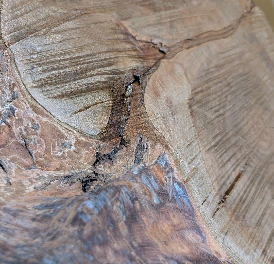 【極厚・桜】15.4kg 希少 枝分かれ 飾り台 二つの年輪 天然木 桜の丸太