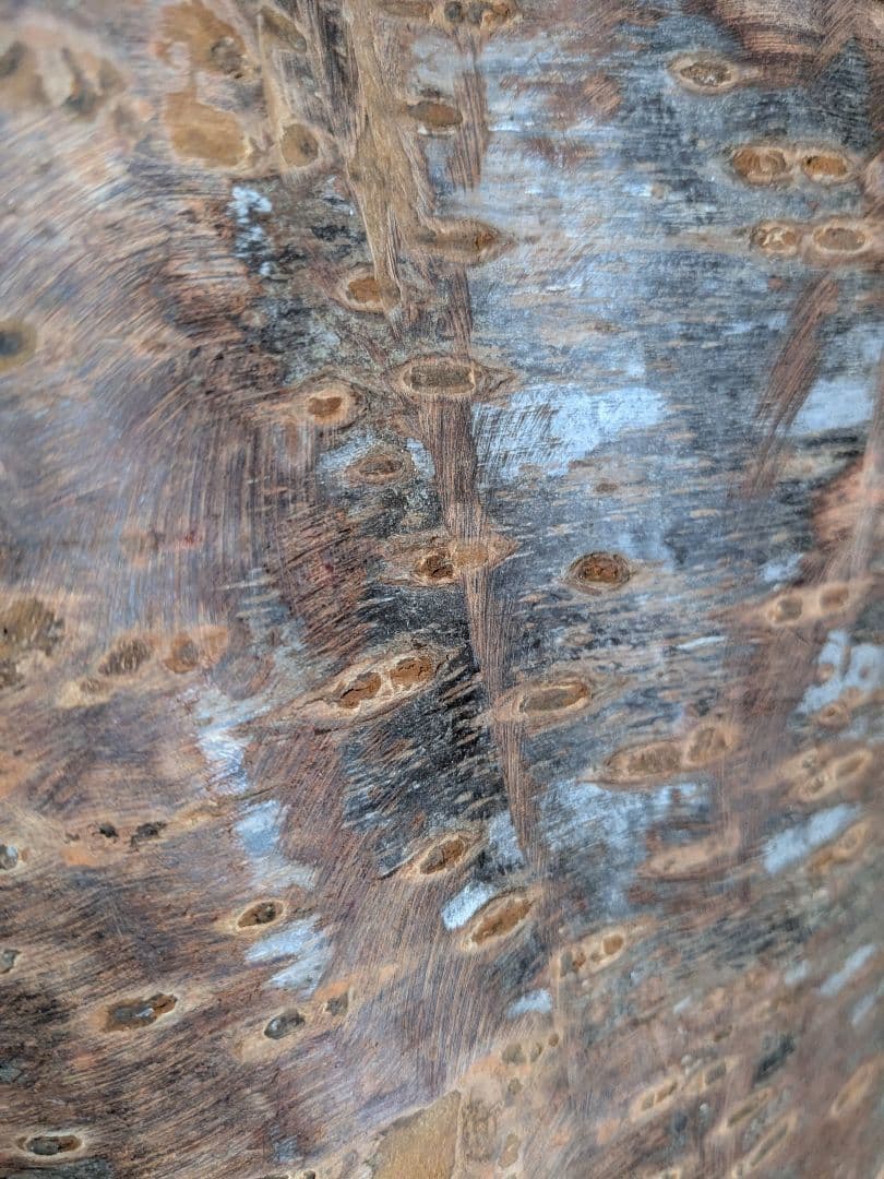 【極厚・桜】15.4kg 希少 枝分かれ 飾り台 二つの年輪 天然木 桜の丸太