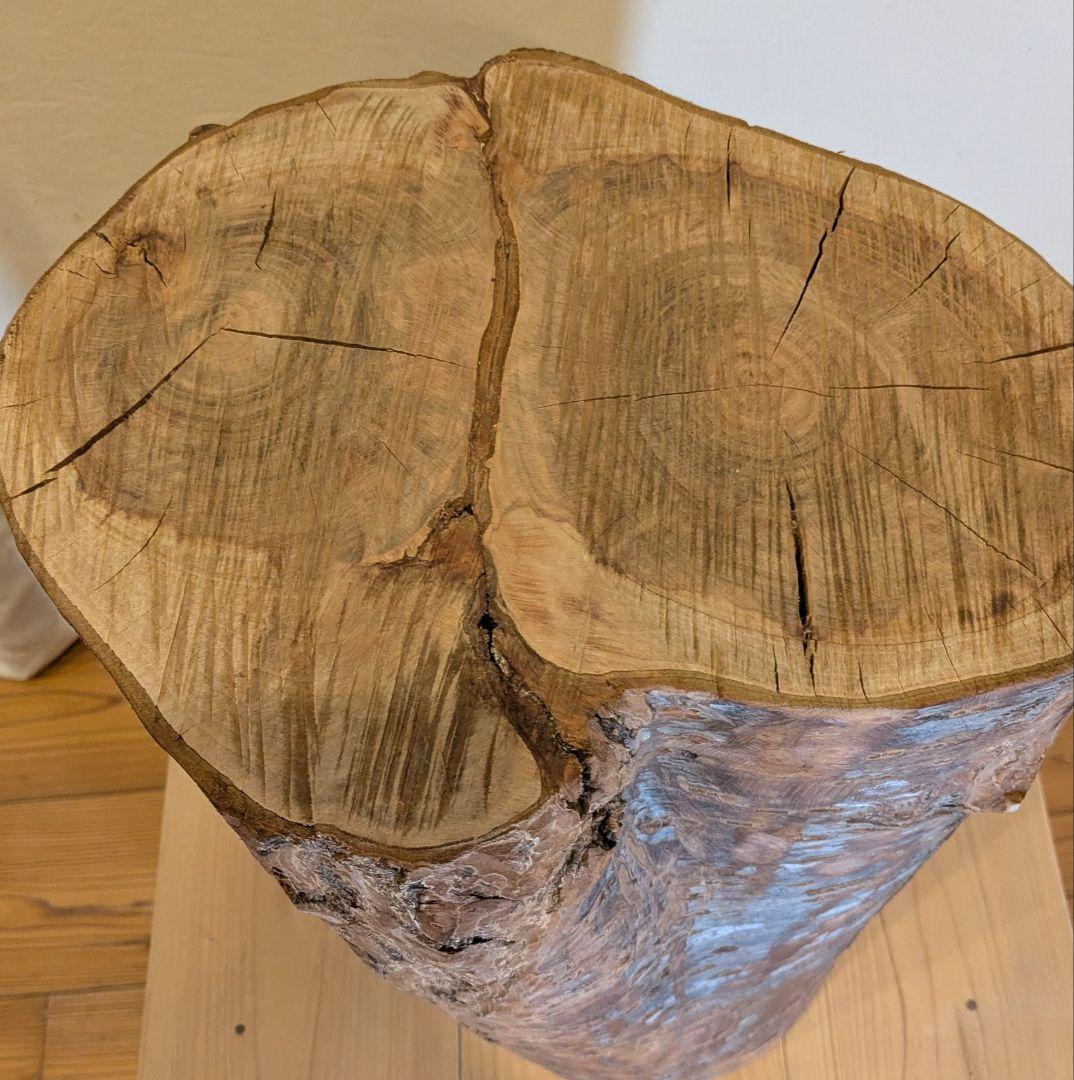 【極厚・桜】15.4kg 希少 枝分かれ 飾り台 二つの年輪 天然木 桜の丸太