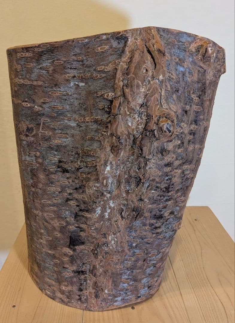 【極厚・桜】15.4kg 希少 枝分かれ 飾り台 二つの年輪 天然木 桜の丸太