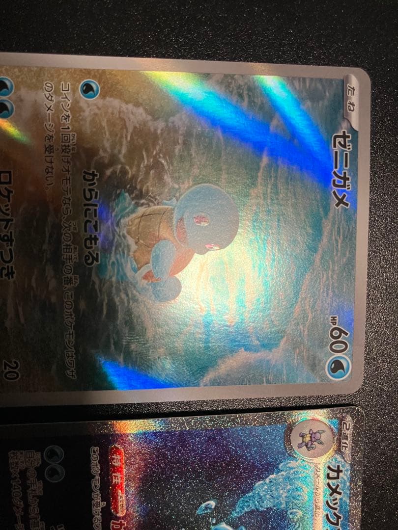 ゼニガメ カメール カメックス　151 3枚