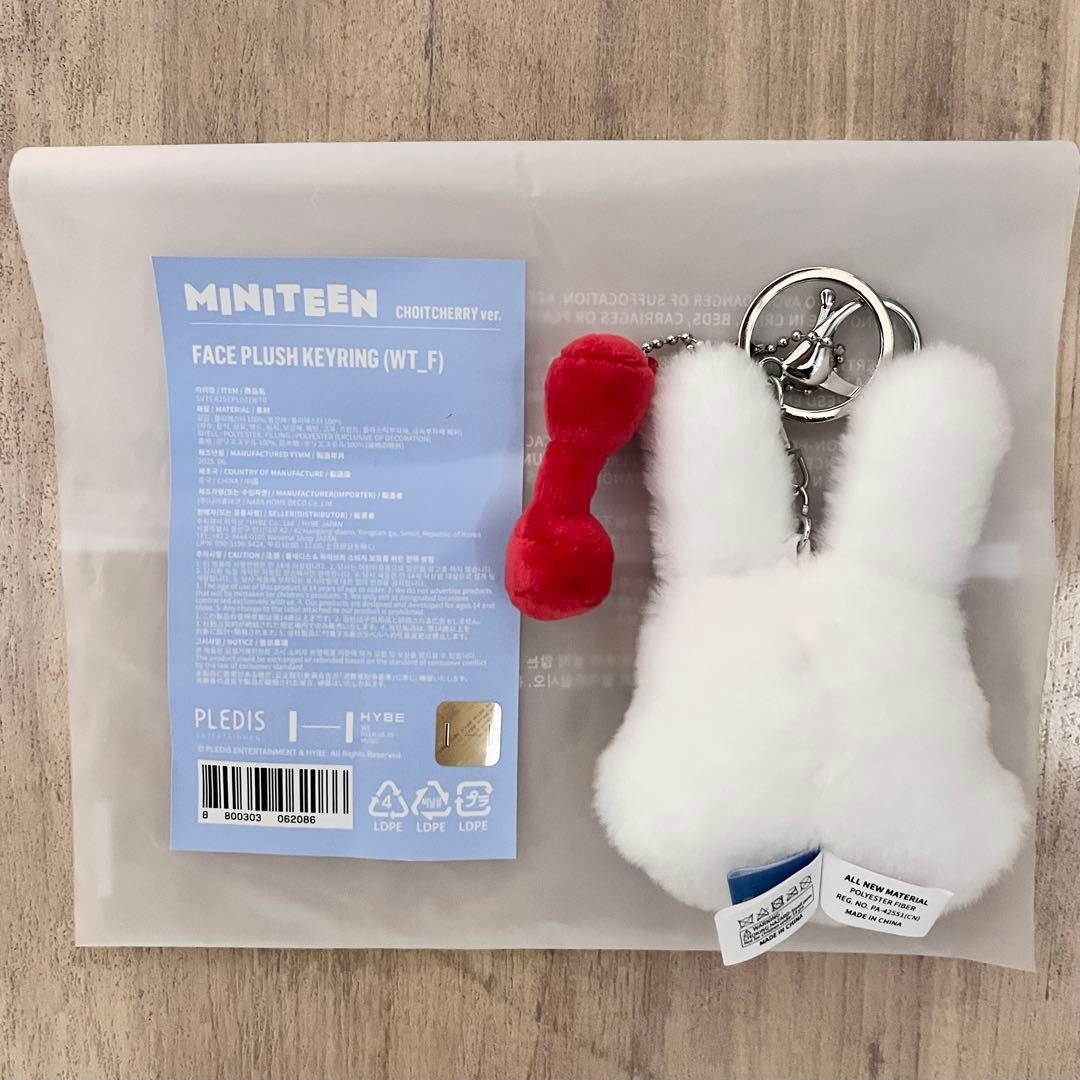 セブチMINITEEN フェイスキーリング チェチェリー エスクプス