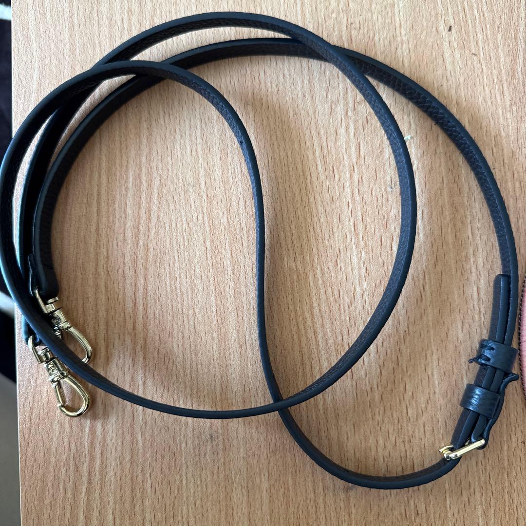 iPhone16PRO BANDOLIER バンドリヤー　ケース