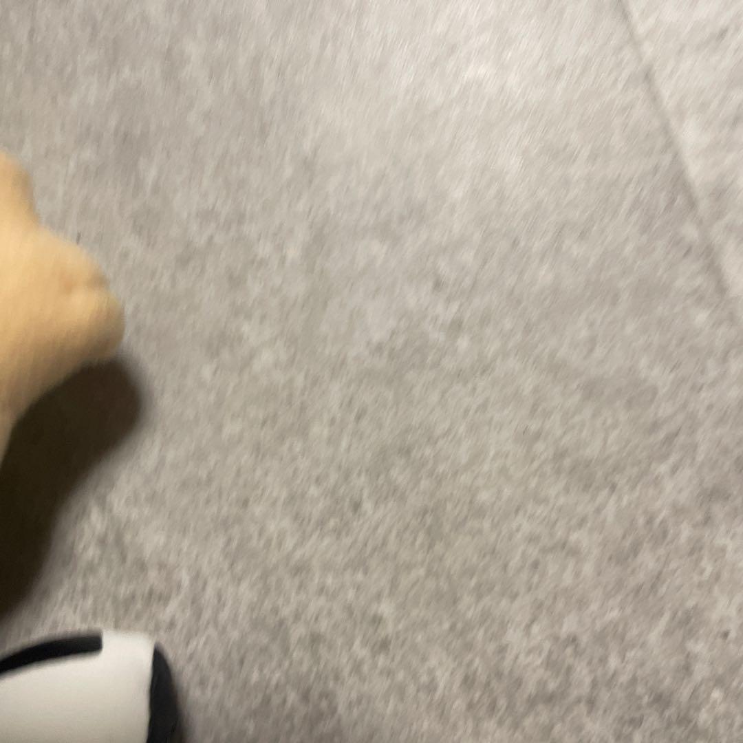 進藤ヒカル ヒカルの碁 ぬいぐるみ 当時物　アニメグッズ　タグ付