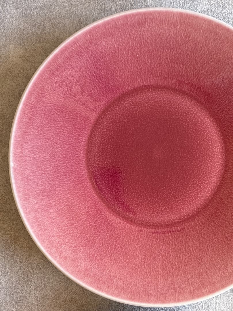 【フランス】Jarsジャス Vuelta ディナー皿 ライチ 26cm2枚