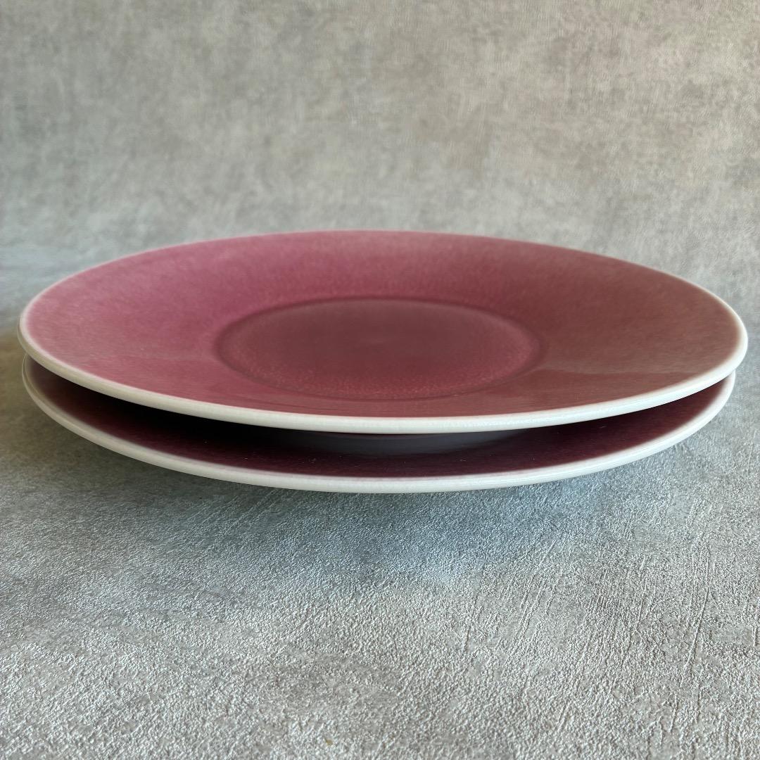 【フランス】Jarsジャス Vuelta ディナー皿 ライチ 26cm2枚