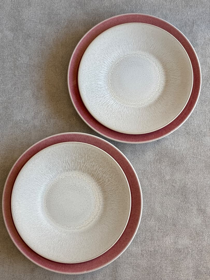 【フランス】Jarsジャス Vuelta ディナー皿 ライチ 26cm2枚