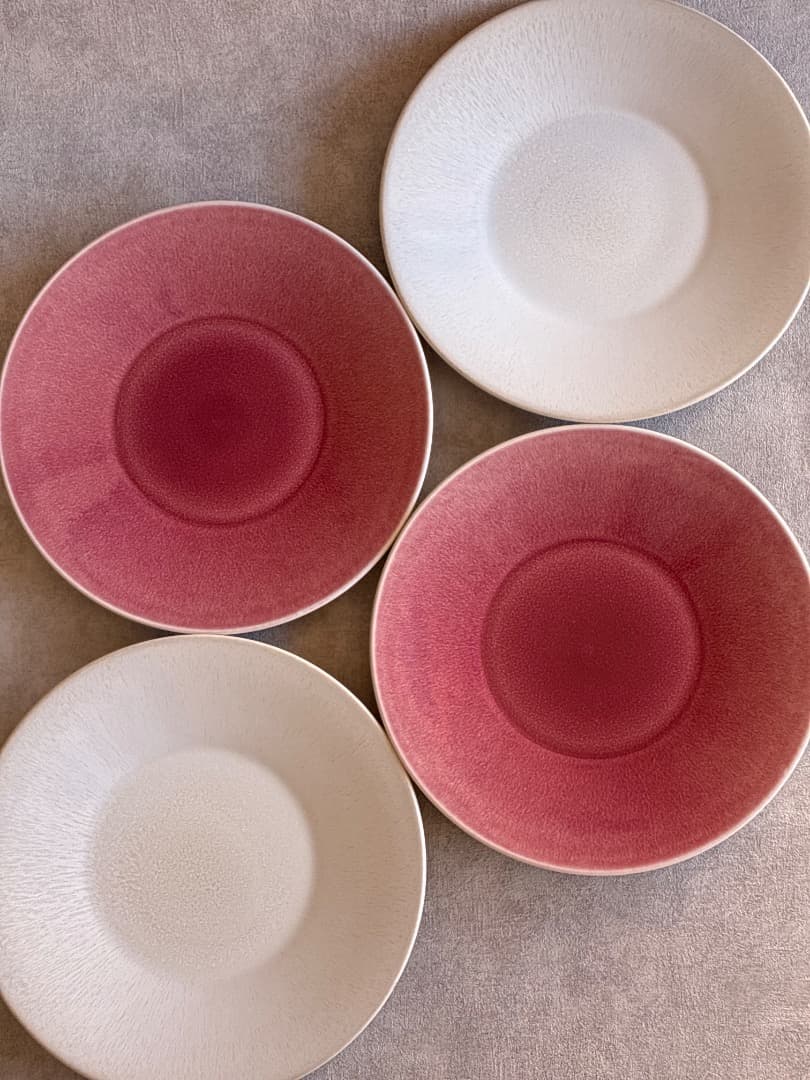 【フランス】Jarsジャス Vuelta ディナー皿 ライチ 26cm2枚