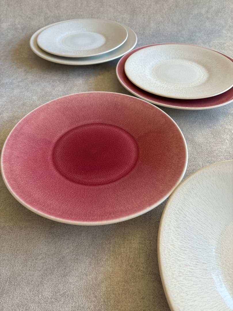 【フランス】Jarsジャス Vuelta ディナー皿 ライチ 26cm2枚