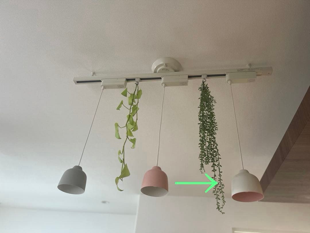 【KOIZUMI 】ペンダントライト ホワイト