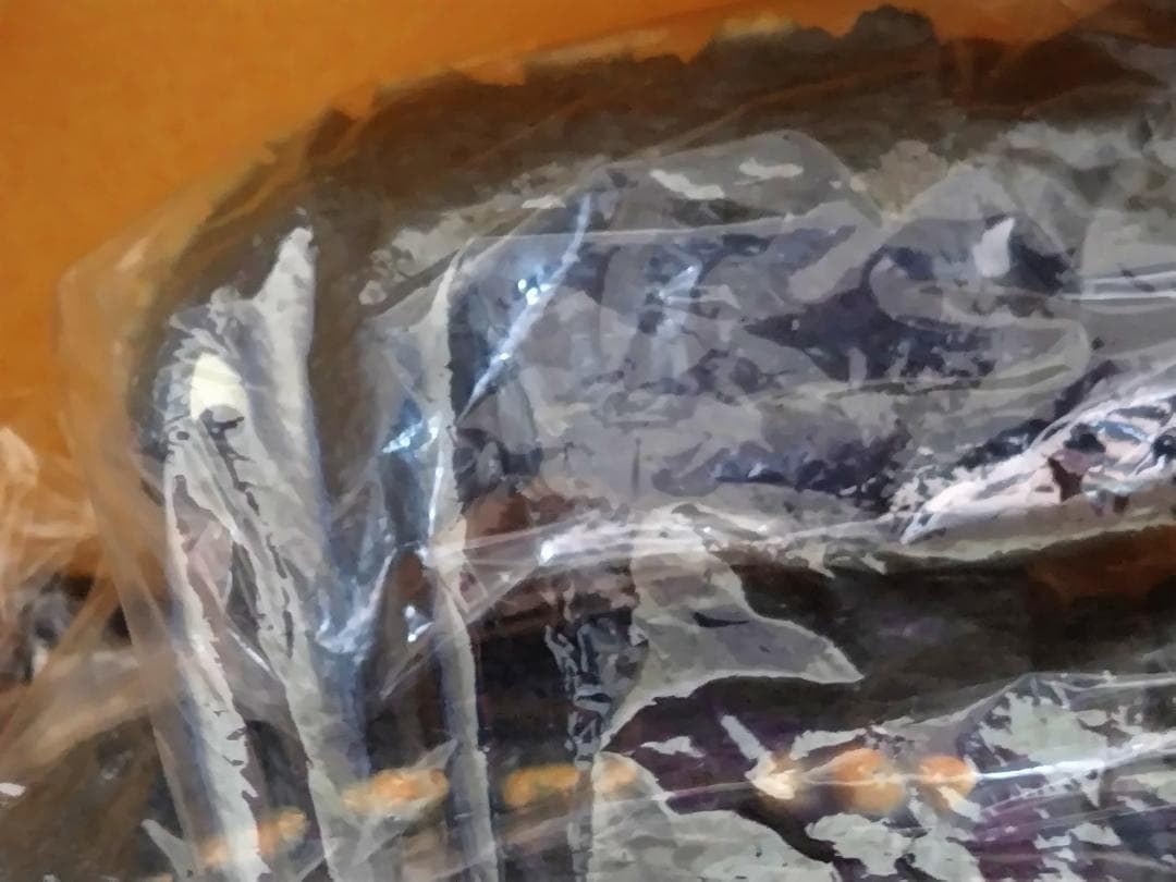 彩色済キット　ゴジラ　1968　怪獣総進撃　未組立て　ビリケン　BILLIKEN