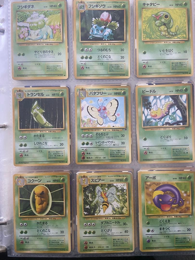 ポケモンカード　旧裏　まとめ売り　草ポケモン　ノーマル126枚
