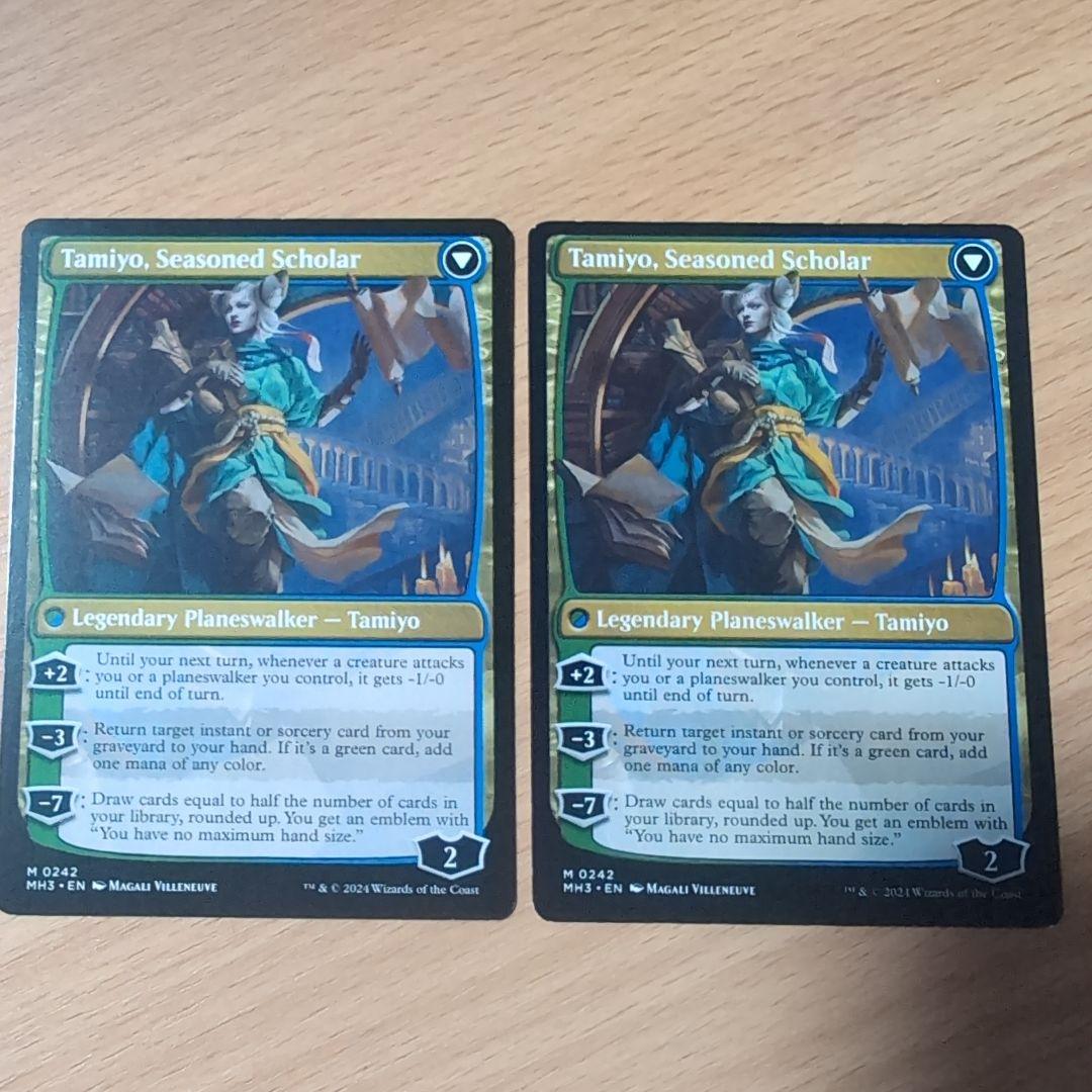 知りたがりの、タミヨウ　英語版　２枚セット