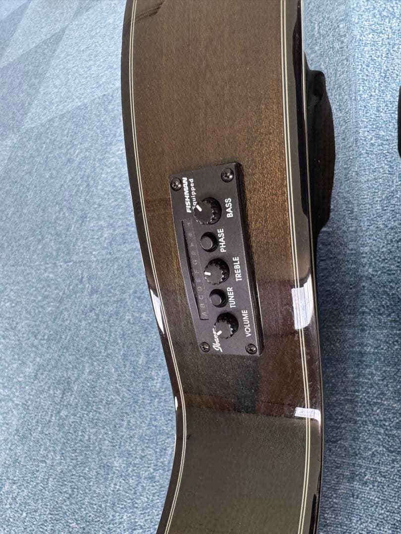 Ibanez AEG24Ⅱ-TOS1205 エレアコ　アコースティックギター