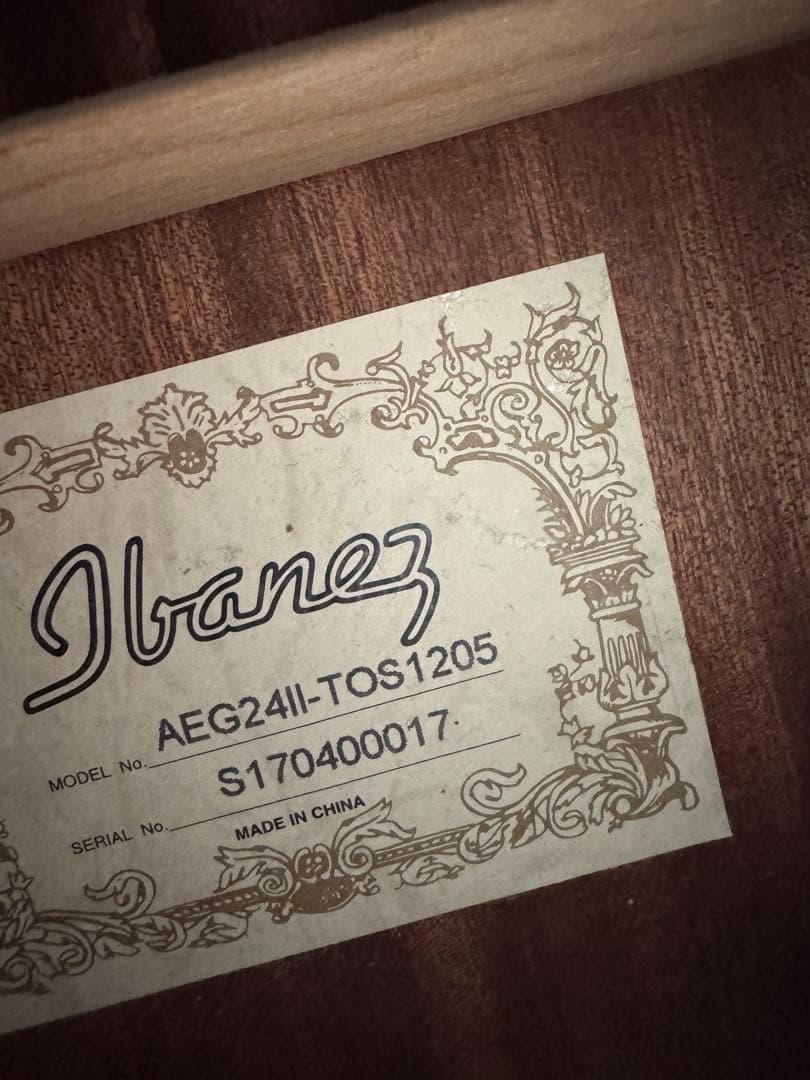 Ibanez AEG24Ⅱ-TOS1205 エレアコ　アコースティックギター