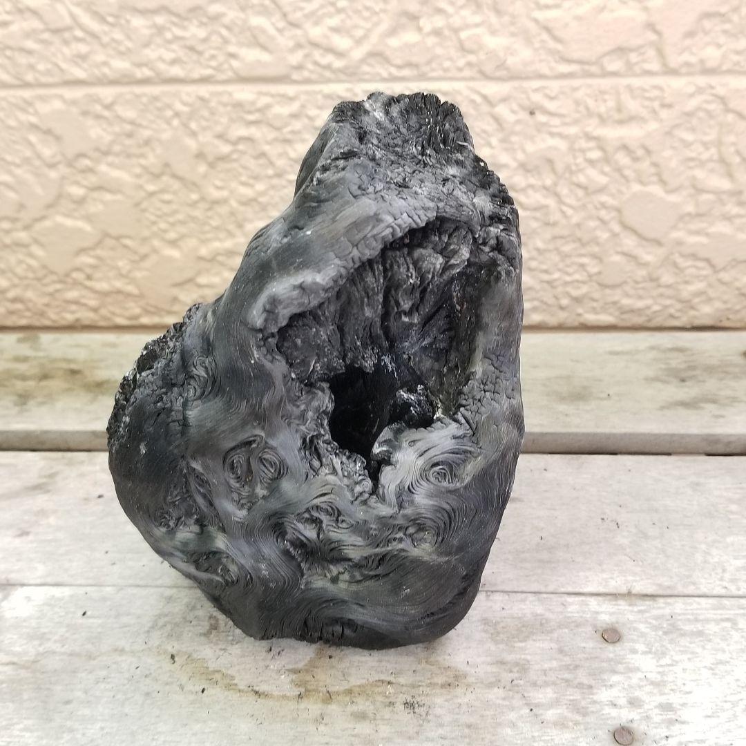 模様がキレイすぎる　紀州備長炭オブジェ　一点もの　希少