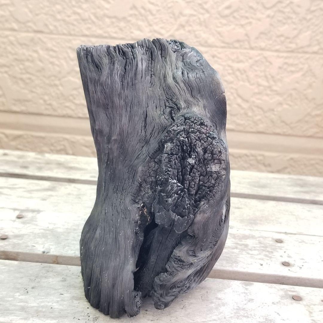 模様がキレイすぎる　紀州備長炭オブジェ　一点もの　希少