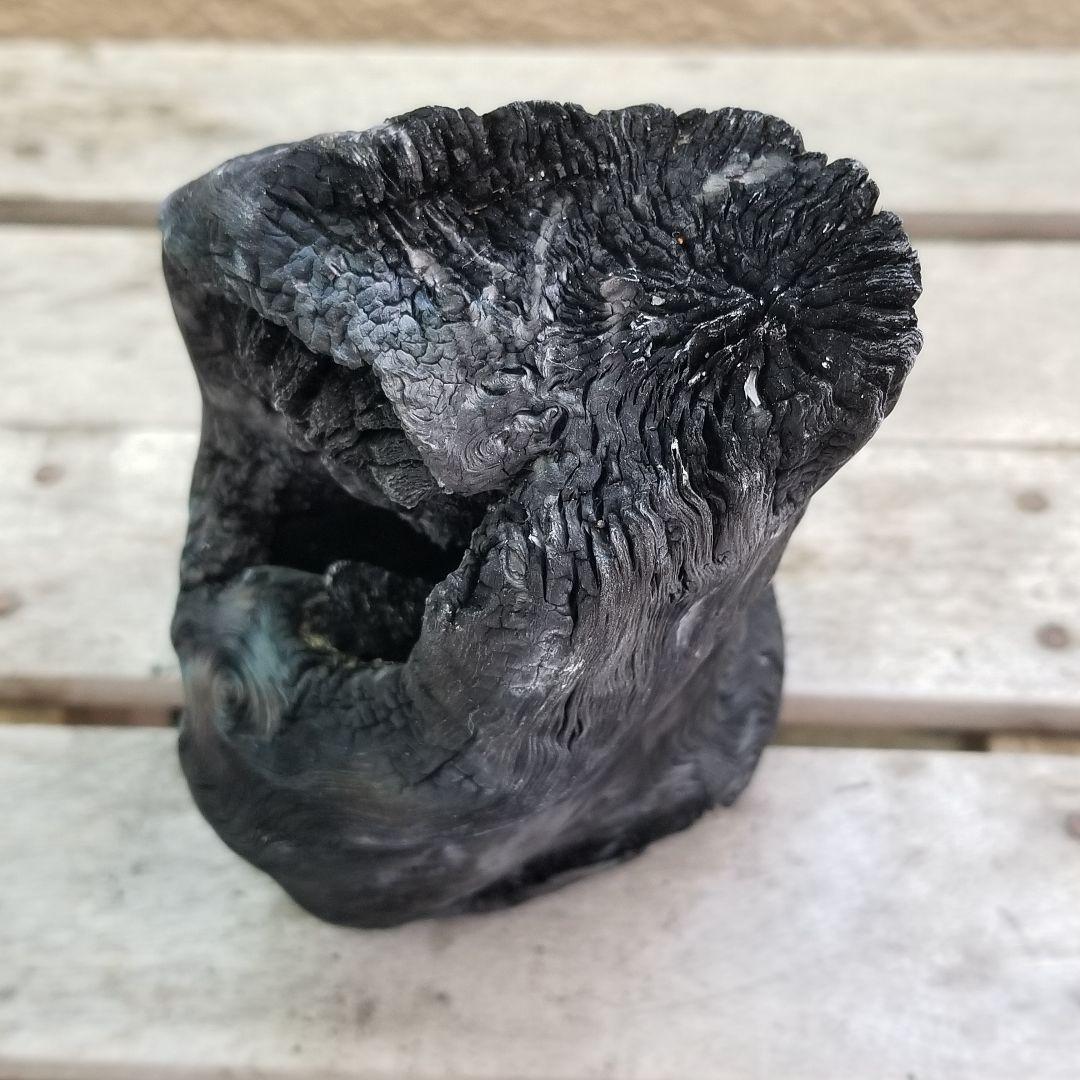 模様がキレイすぎる　紀州備長炭オブジェ　一点もの　希少