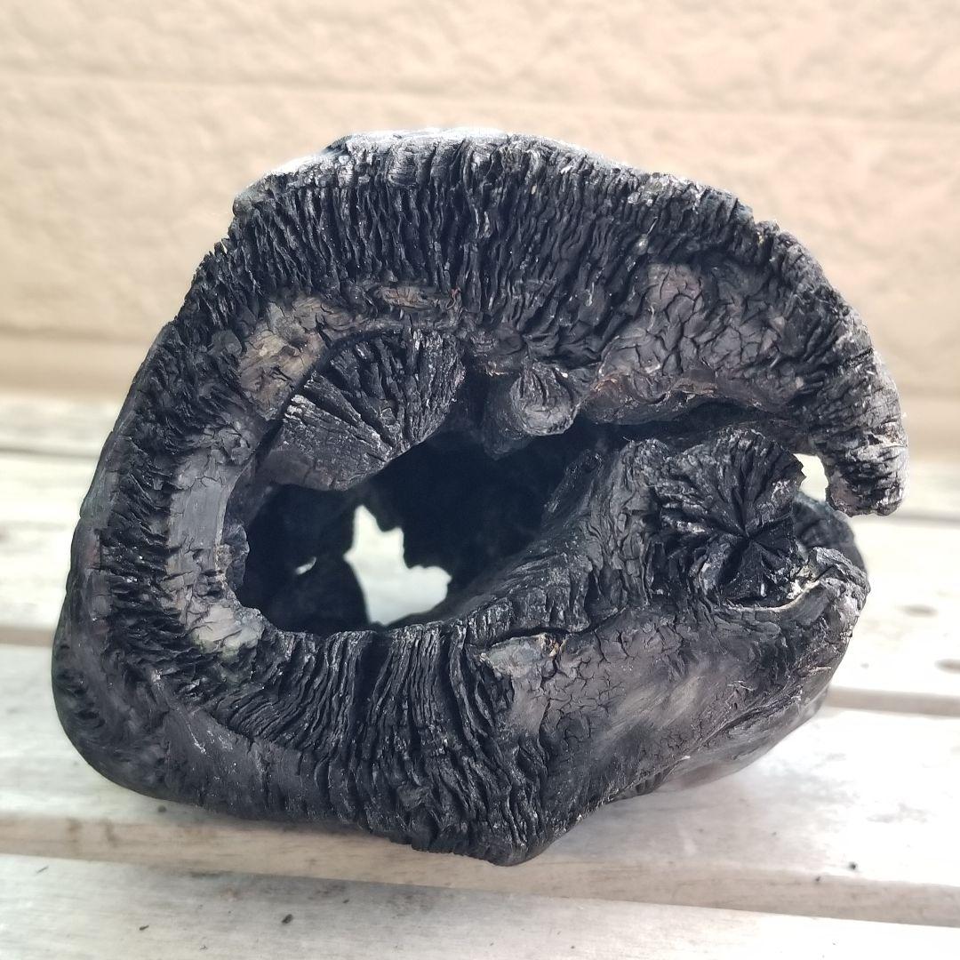模様がキレイすぎる　紀州備長炭オブジェ　一点もの　希少