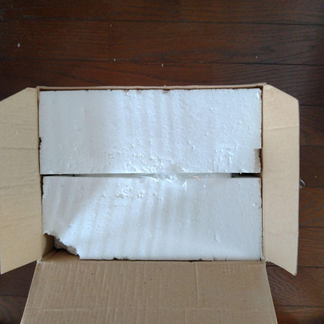 クローズ &WORST FBG 武田好誠　ワンフェス版