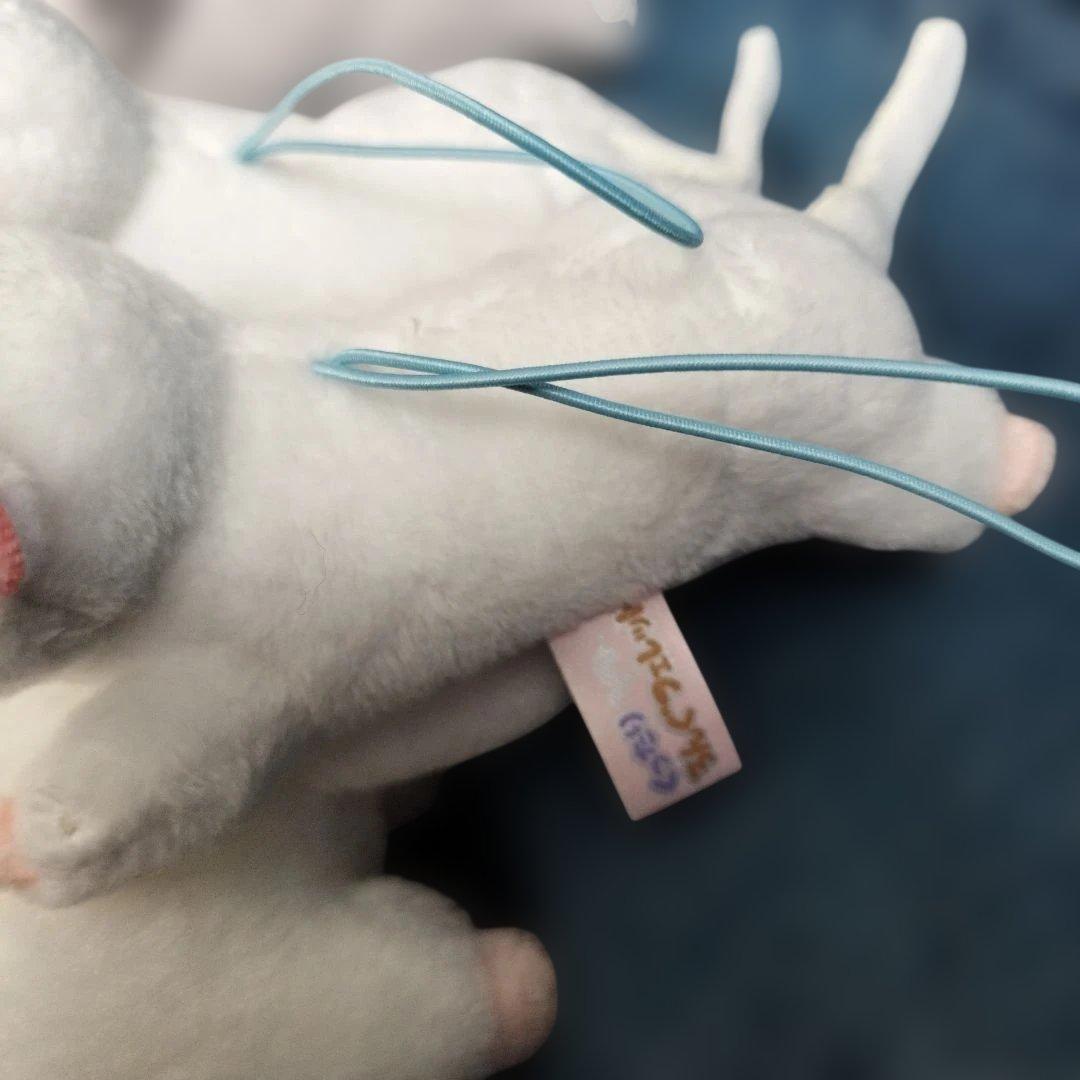 【フェレット】くったりろんぐフェレット　たべすぎまして　洗濯日和　おねむりコーム