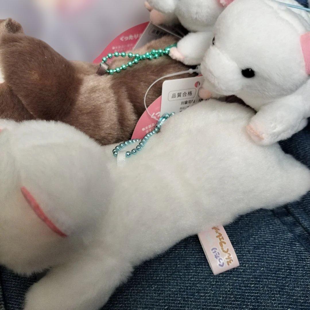 【フェレット】くったりろんぐフェレット　たべすぎまして　洗濯日和　おねむりコーム