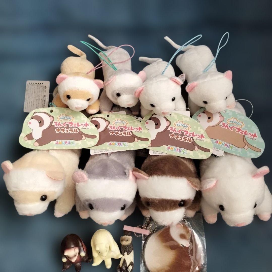 【フェレット】くったりろんぐフェレット　たべすぎまして　洗濯日和　おねむりコーム