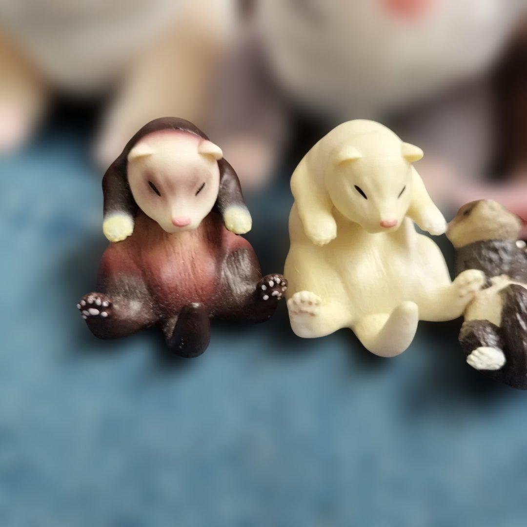 【フェレット】くったりろんぐフェレット　たべすぎまして　洗濯日和　おねむりコーム