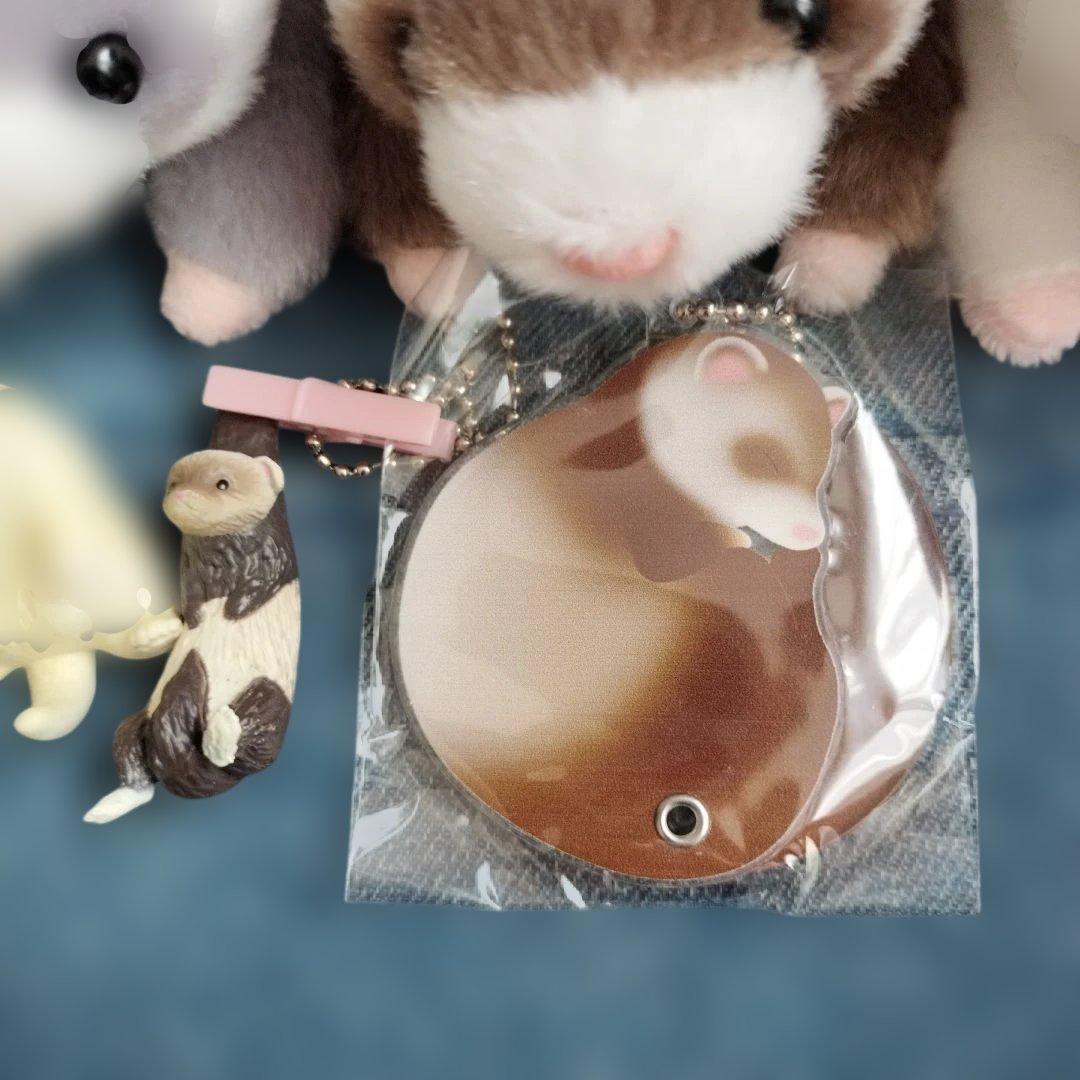 【フェレット】くったりろんぐフェレット　たべすぎまして　洗濯日和　おねむりコーム