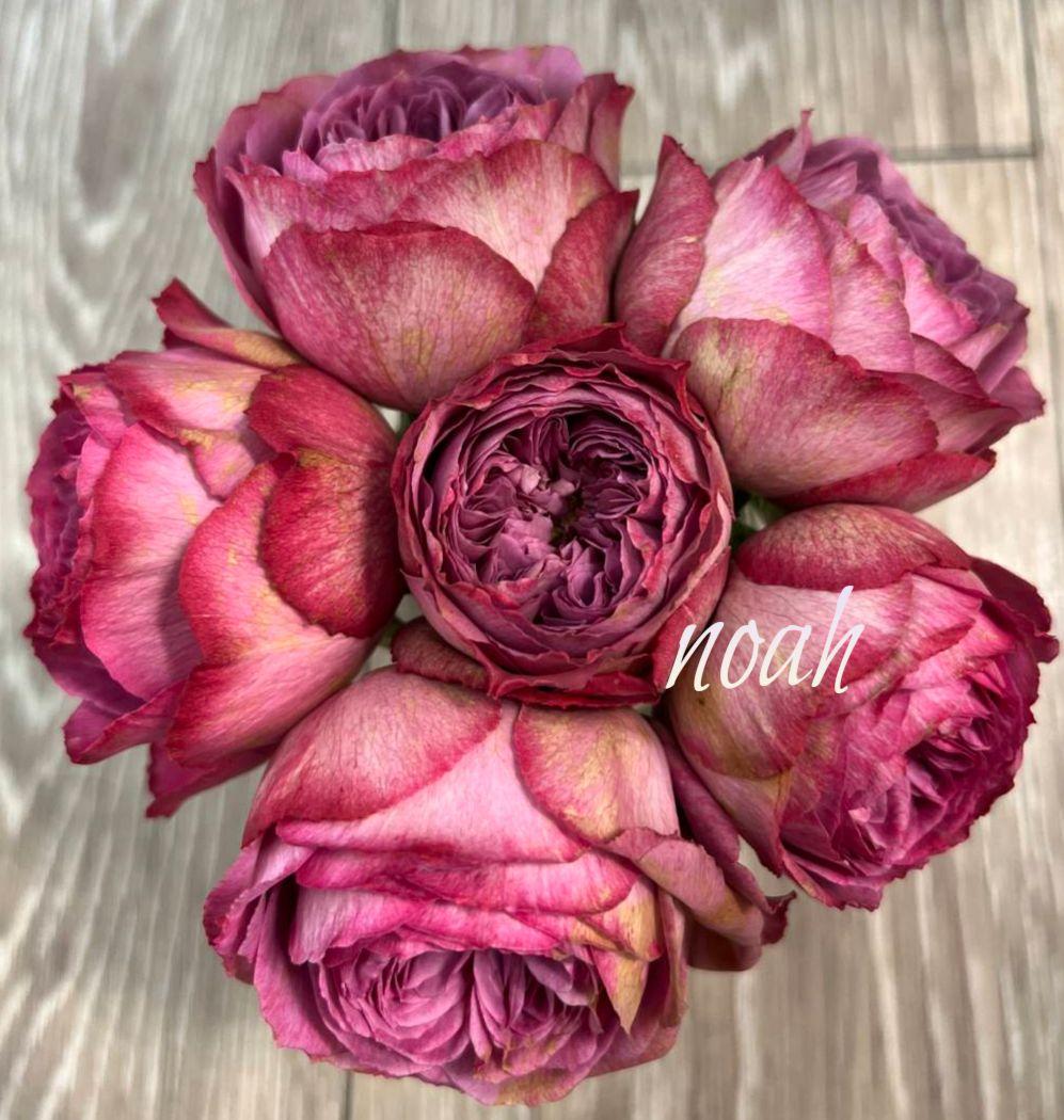 Riramonさま 3点　バラ