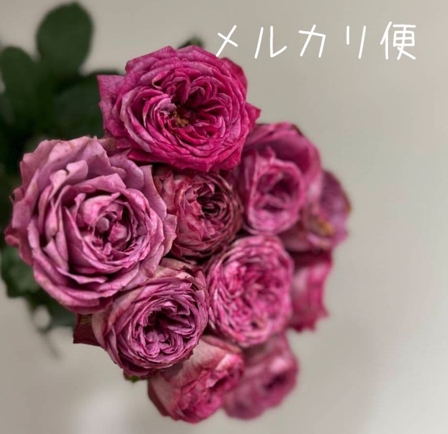 Riramonさま 3点　バラ