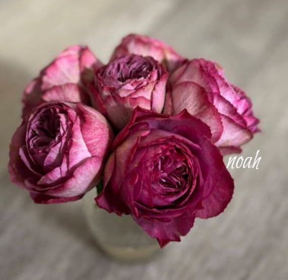 Riramonさま 3点　バラ