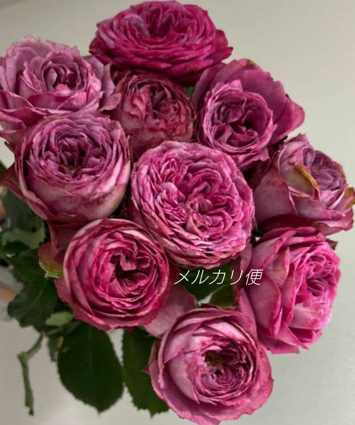 Riramonさま 3点　バラ