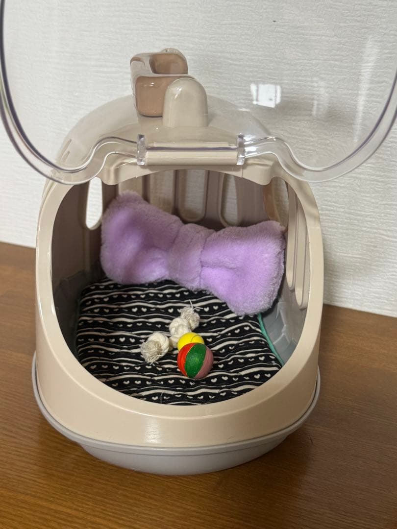 わたわたペット　羊毛フェルト作品　コーギー　キャリーケース、小物付き