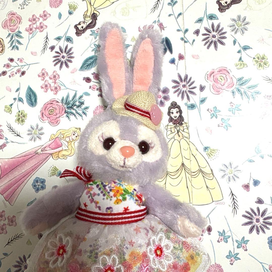 ステラルー　ぬいぐるみバッジ　ダッフィー サニーファン　2019