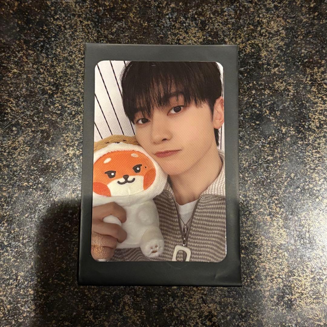 zeroni ミディアムぬいぐるみ Fluffy テュニニ メテュ マシュー