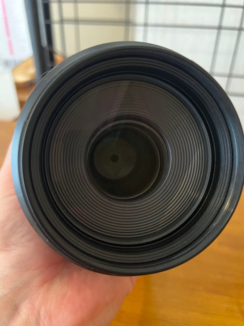 Canon RF100-500mm F4.5-7.1 L IS USM &おまけ