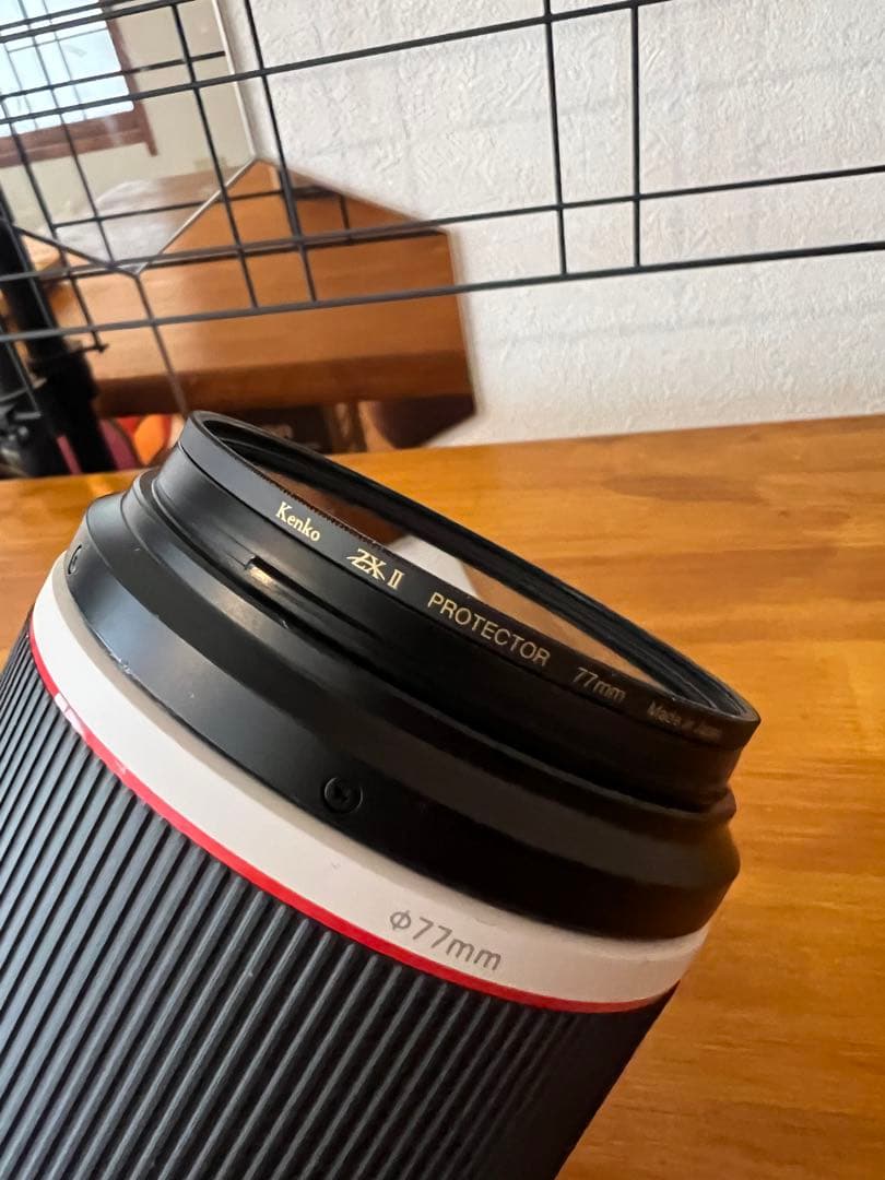 Canon RF100-500mm F4.5-7.1 L IS USM &おまけ