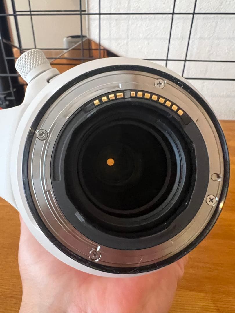 Canon RF100-500mm F4.5-7.1 L IS USM &おまけ