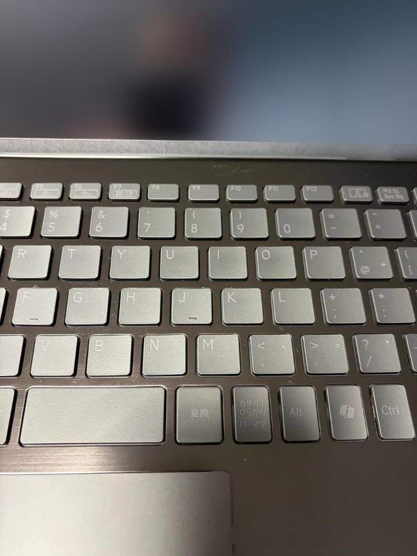 ルークさん専用VAIO SX12 (VJS127) ALL BLACK