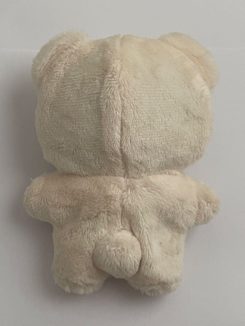 一緒に暮らすぬいぐるみ いつぬい 蓮巳敬人