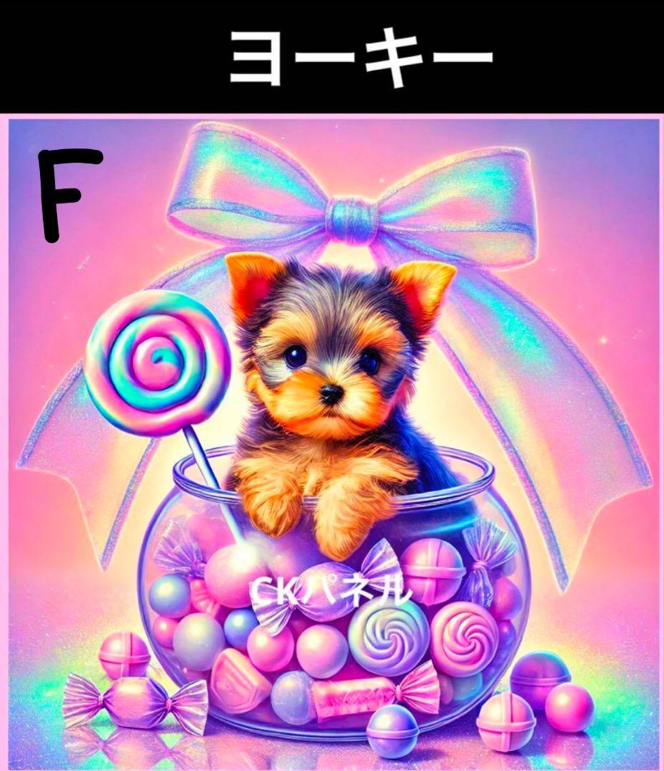 オーダー受付　シーズー　マルチーズ　ヨーキー　ご予約ページ　1/20