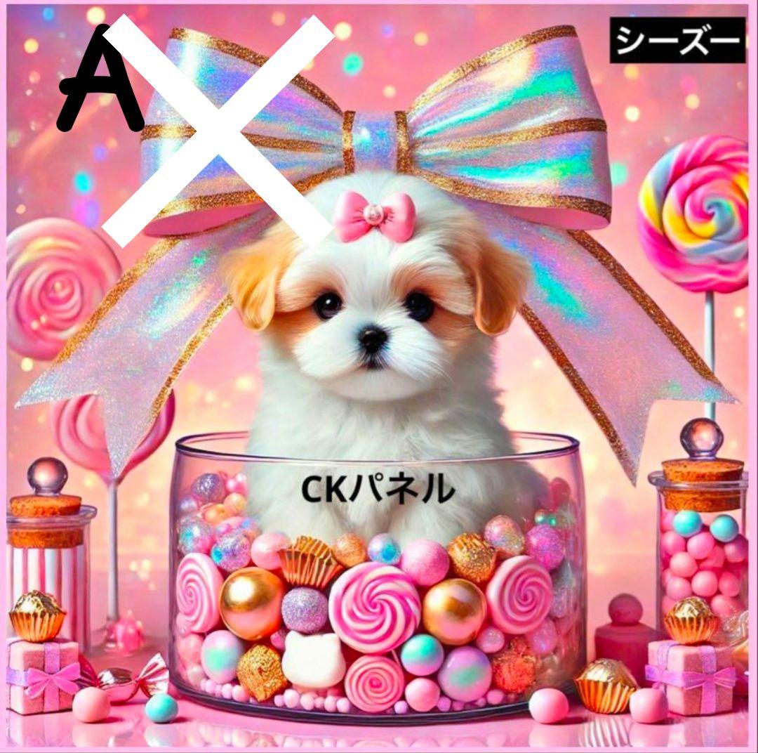 オーダー受付　シーズー　マルチーズ　ヨーキー　ご予約ページ　1/20