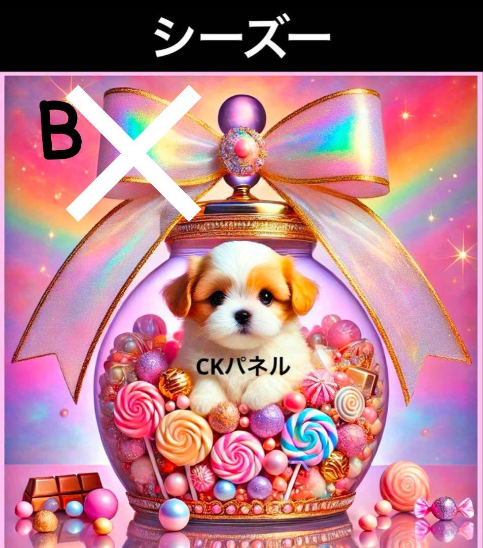 オーダー受付　シーズー　マルチーズ　ヨーキー　ご予約ページ　1/20