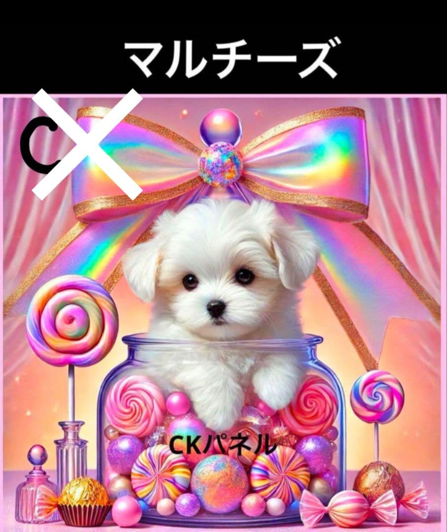 オーダー受付　シーズー　マルチーズ　ヨーキー　ご予約ページ　1/20