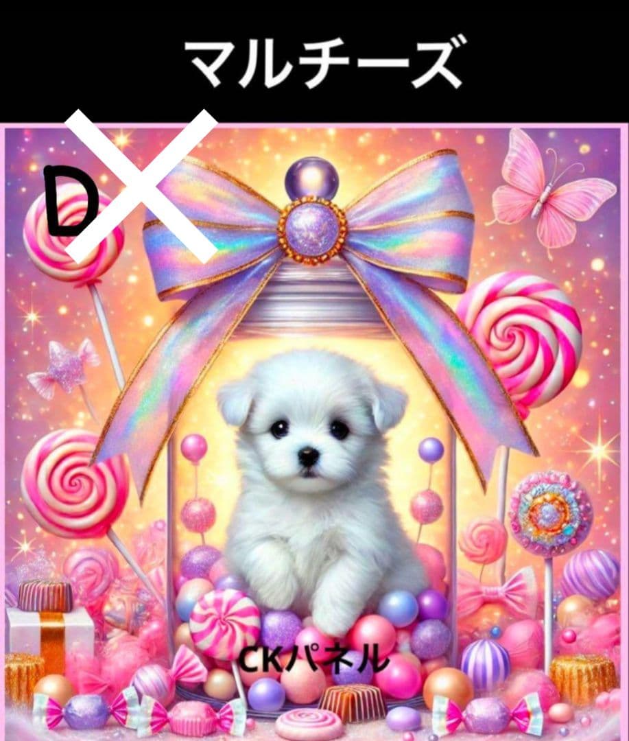 オーダー受付　シーズー　マルチーズ　ヨーキー　ご予約ページ　1/20