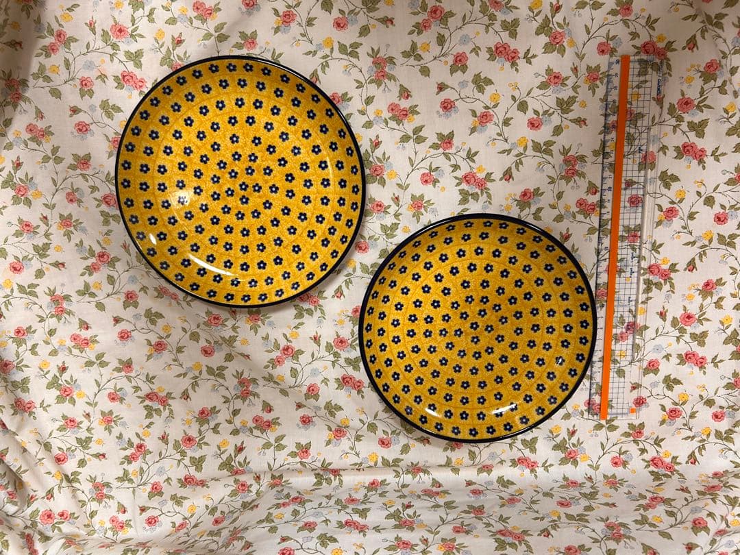2枚セット ボレスワヴィエツ20cm平皿ポーリッシュポタリー♥