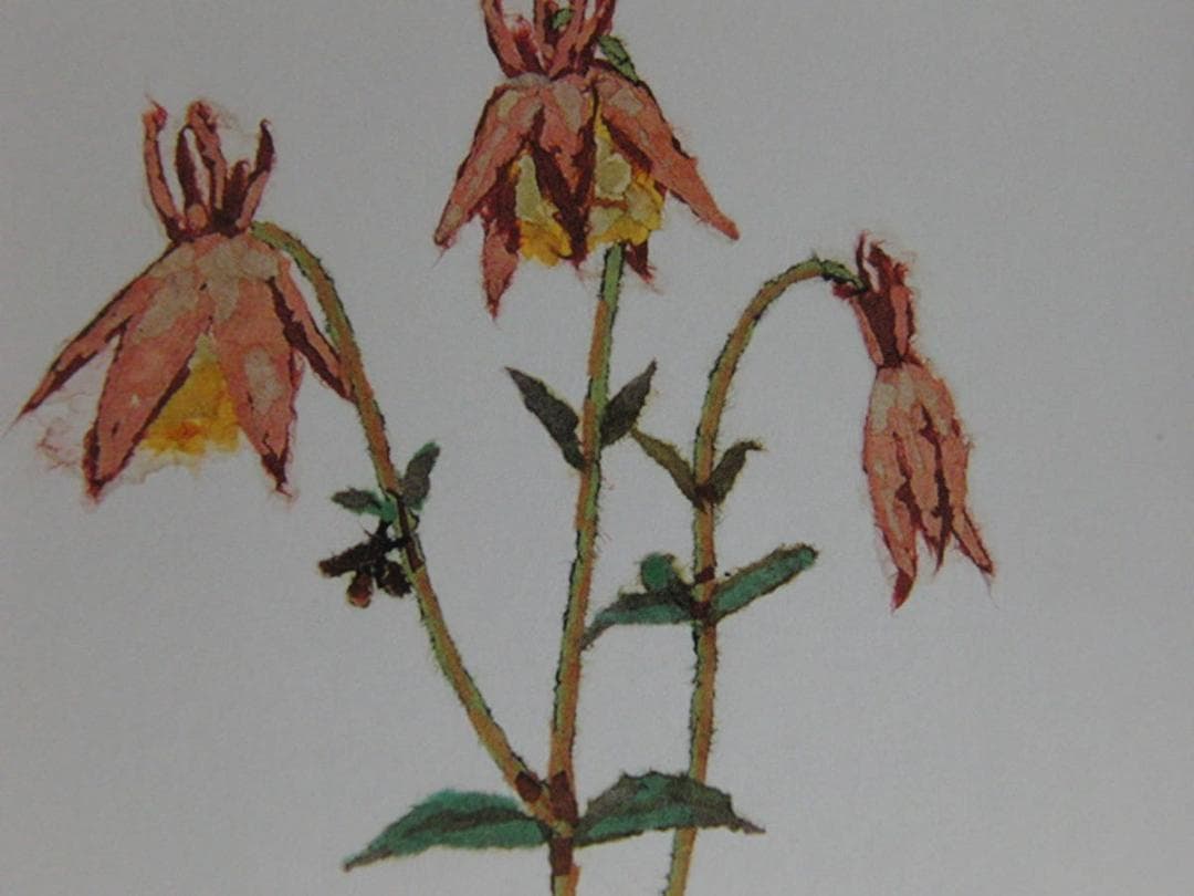 山下清、【つりがね草】、希少な額装用画集より、美品、日本人画家