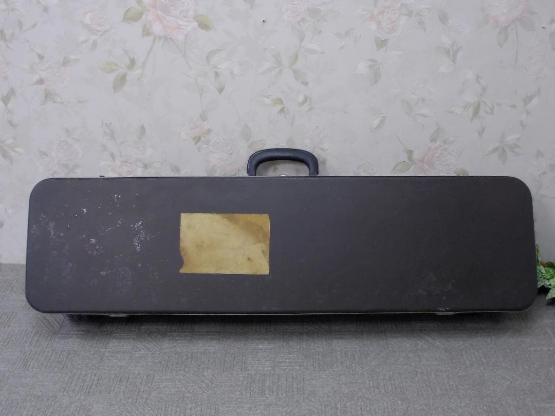 14FF3456 蛇柄 へび柄　三味線　ハードケース付